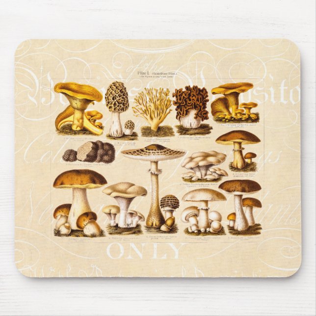 Mousepad Modelo dos cogumelos da variedade do cogumelo dos (Frente)