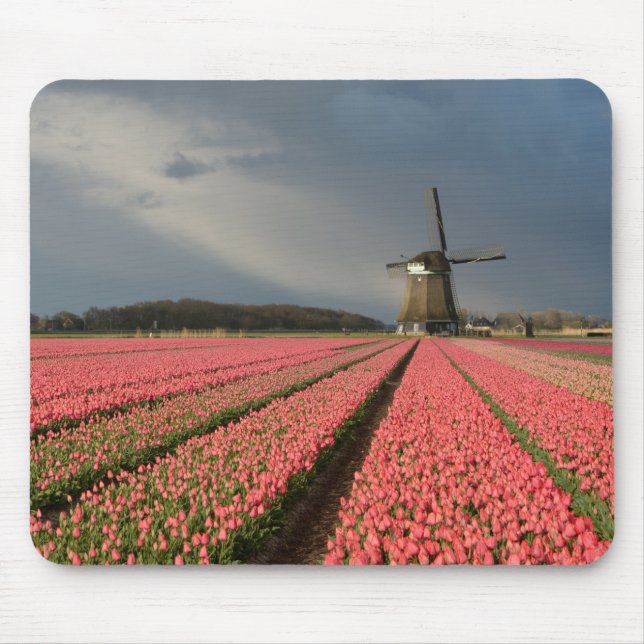 Mousepad Moinho de vento com as tulipas cor-de-rosa no (Frente)