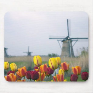 Mousepad Moinhos de vento e tulipas ao longo do canal em