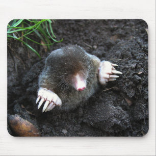 Mousepad Mole