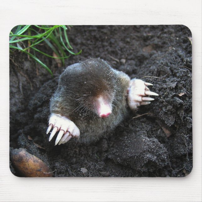 Mousepad Mole (Frente)