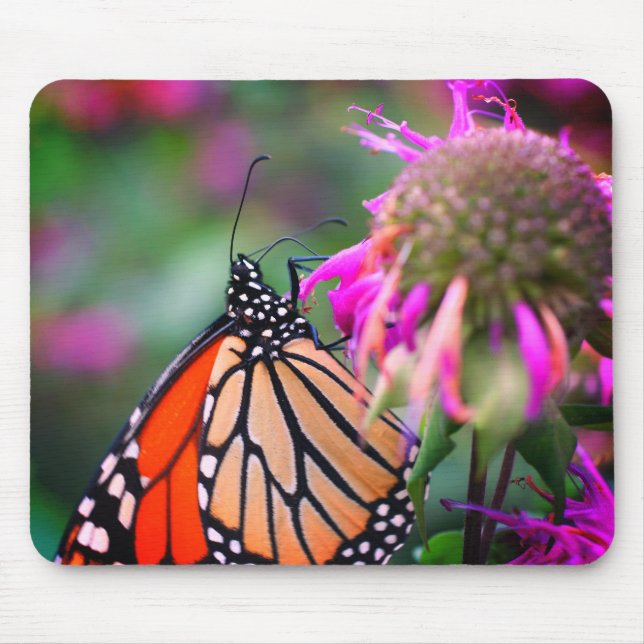 Mousepad Monarca Borboleta Natureza (Frente)