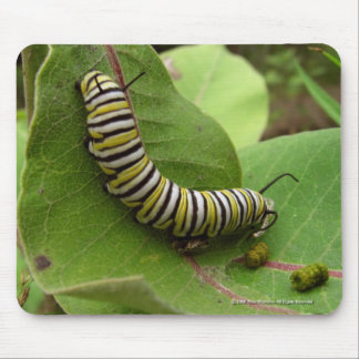 Mousepad Monarca Caterpillar