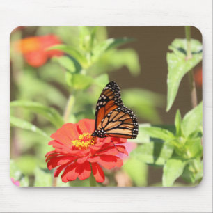 Mousepad Monarca de outubro