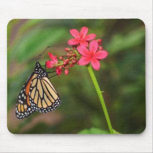 Mousepad Monarca sobre flores pentinas