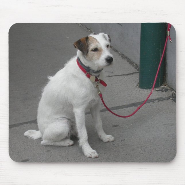 Mousepad Mongrel Branco Doce (Frente)