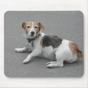 Mousepad Mongrel de Beagle
