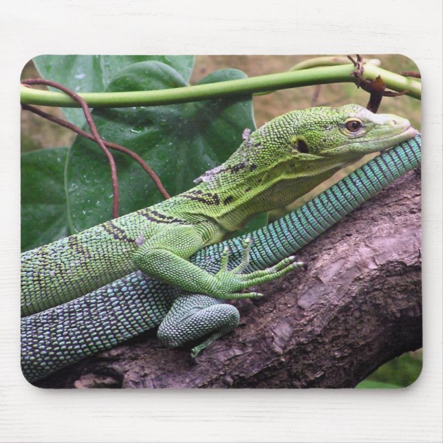 Mousepad Monitor verde da árvore - prasinus do Varanus (Frente)