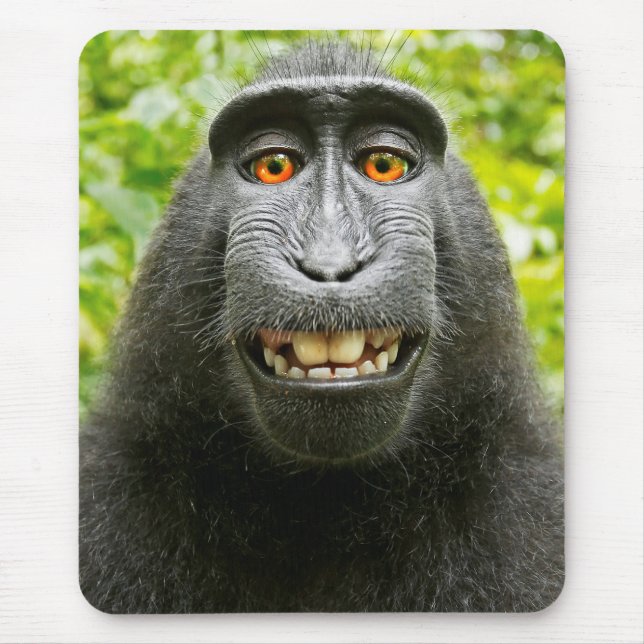 Mousepad Monkey Selfie (Frente)