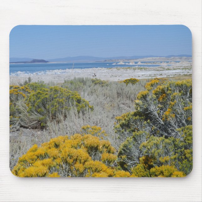 Mousepad Mono Lake, CA (Frente)