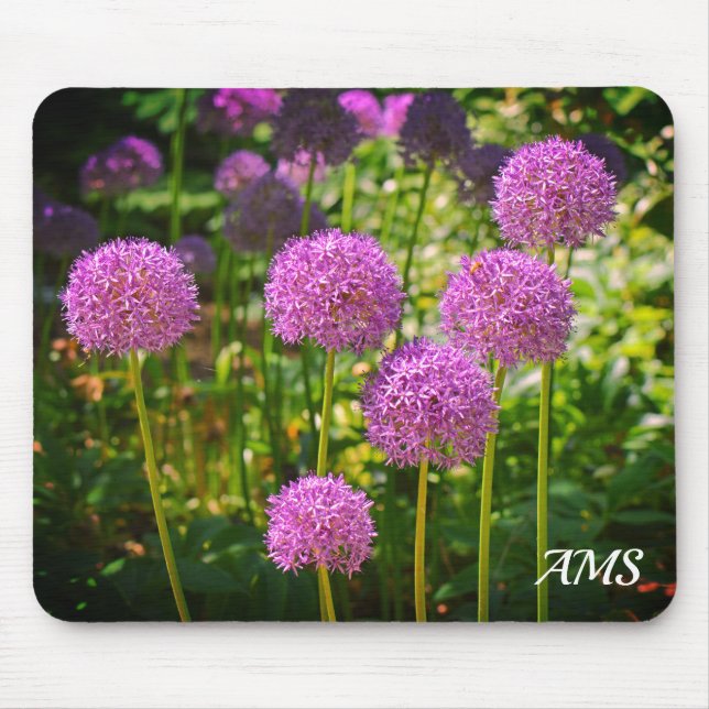 Mousepad Monograma do Grupo Púrpura das Flores de Allium (Frente)
