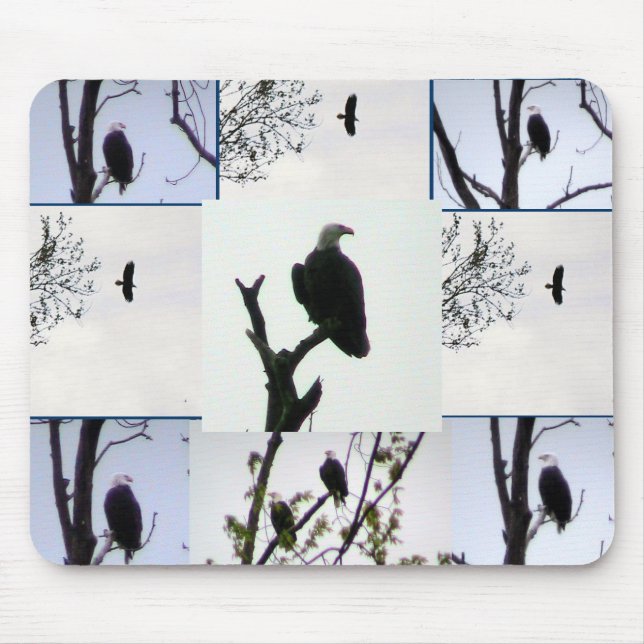 Mousepad Montagem da águia americana (Frente)