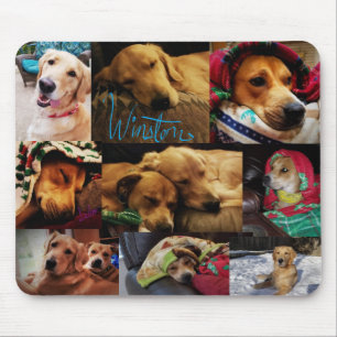 Mousepad Montagem Leeloo & Winston