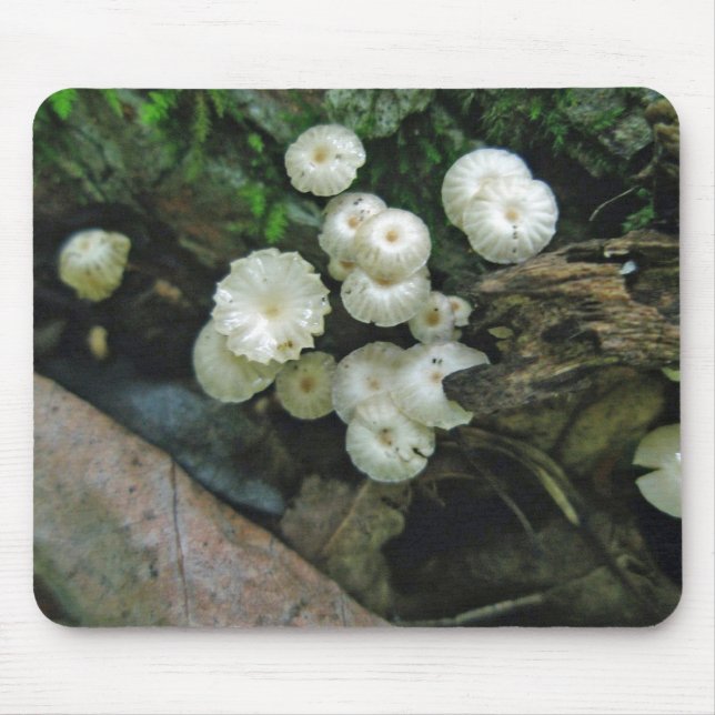 Mousepad Montanha de Colônia de Mushroom Tiny Crimped (Frente)