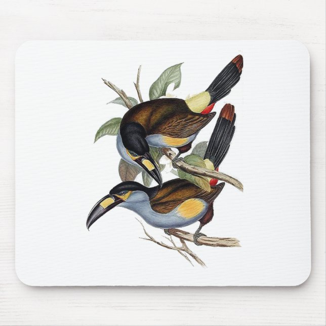 Mousepad montanha Placa-faturada Toucan (Frente)