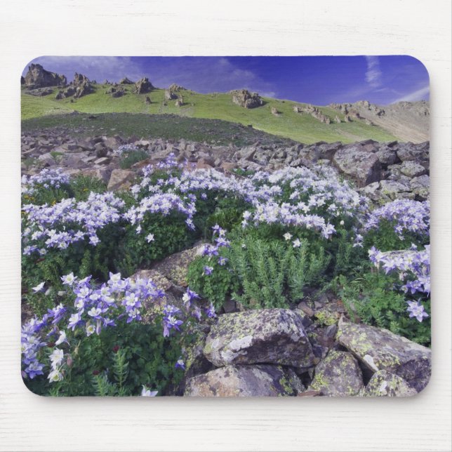 Mousepad Montanhas e flores silvestres em prado alpino, (Frente)