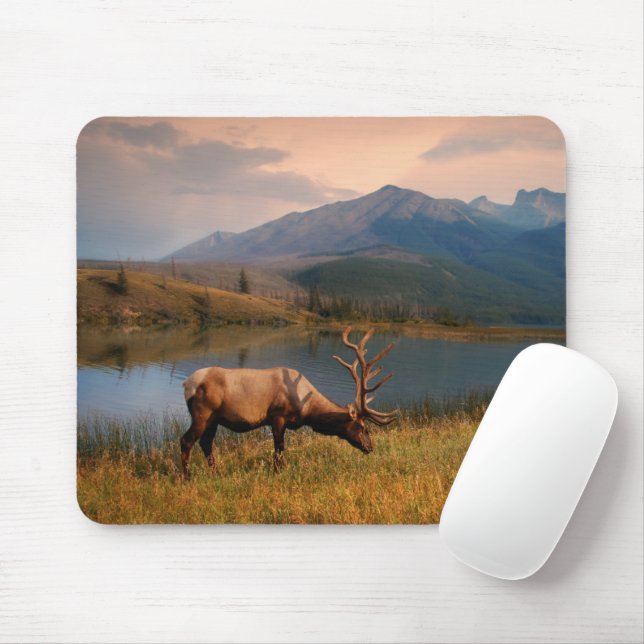 Mousepad Montanhas | Jacques Mountain Range Alberta Canadá (Com mouse)