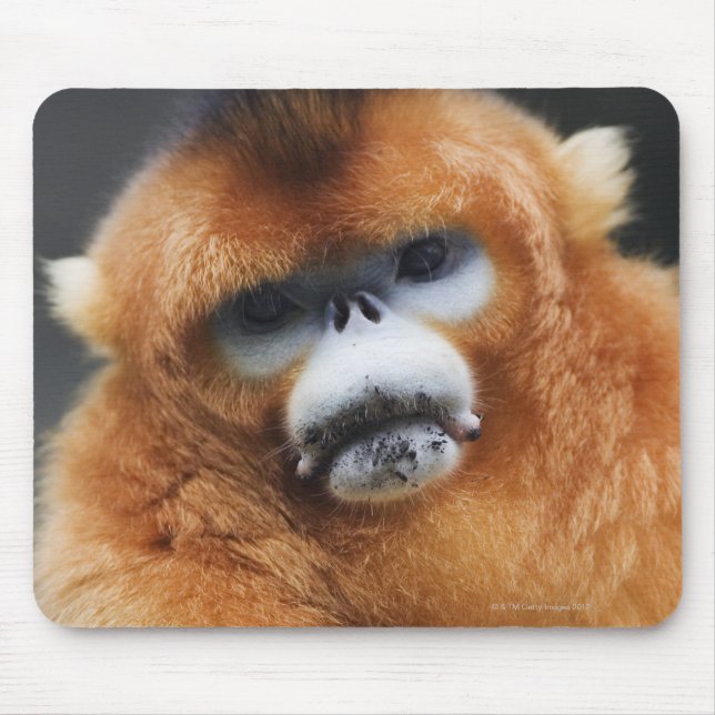 Mousepad Montanhas Qinling (Frente)