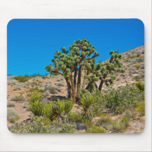 Mousepad Monumento Nacional Dourado Butte