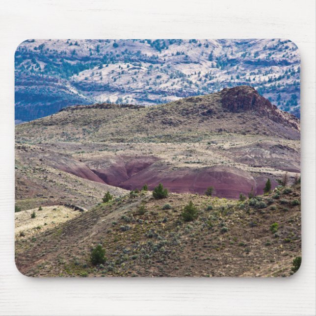 Mousepad Monumento Nacional John Day Fossil Beds, Oregon (Frente)