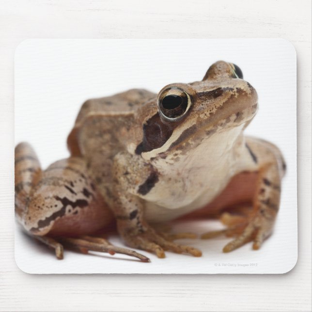 Mousepad Moor Sapo - Rana arvalis (Frente)