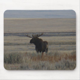 Mousepad Moose Bull M1