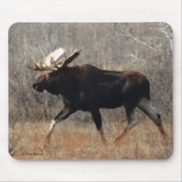 Mousepad Moose Bull M10
