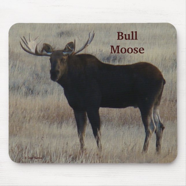 Mousepad Moose Bull M4 (Frente)