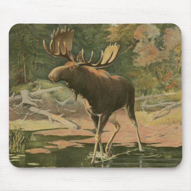 Mousepad Moose Caminhando na Água (Frente)