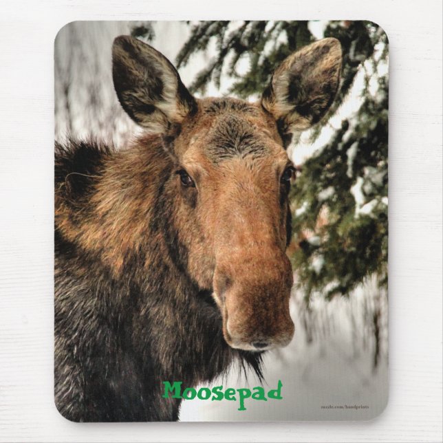 Mousepad Moose Canadense Retrato Funny Willife Mousemat (Frente)