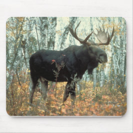Mousepad Moose Forest Trees Park Animal Willife Art