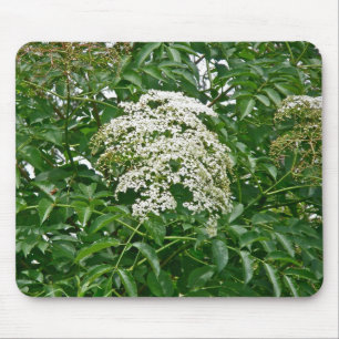 Mousepad Morango-comum (Sambucus canadensis)