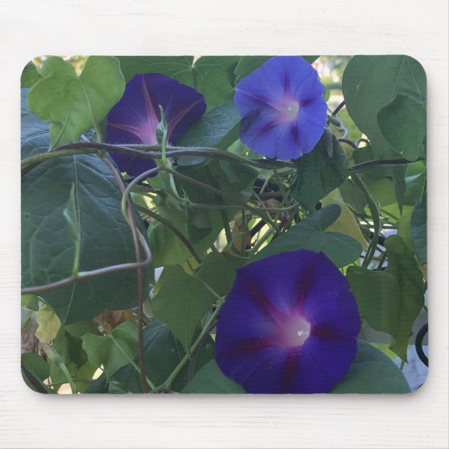 Mousepad Morning Glory Kaleidoscope Close-up  (Frente)