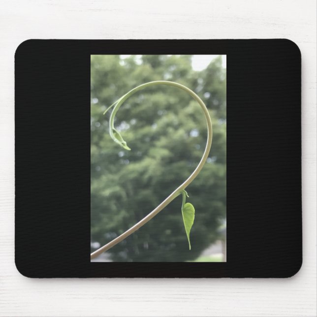 Mousepad Morning Glory Tendril and Leaf  (Frente)