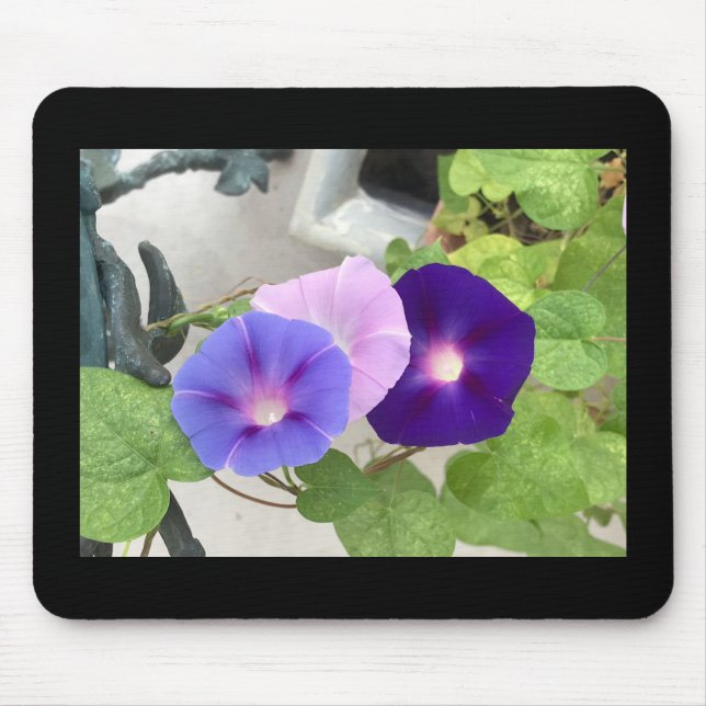 Mousepad Morning Glory Trio (Frente)