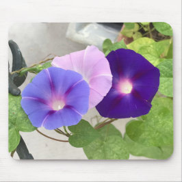 Mousepad Morning Glory Trio Close-up