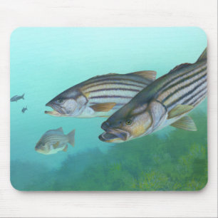 Mousepad Morone atlântico Saxatilis dos peixes do baixo