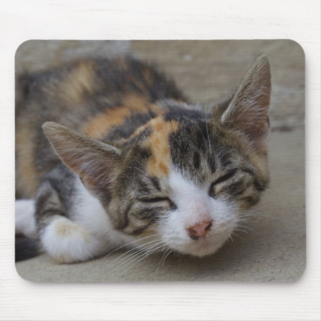 Mousepad Morrendo Calico Kitten (Frente)