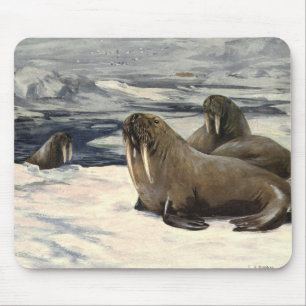 Mousepad Morsas na Neve Ártica, Animal Marinho Vintage
