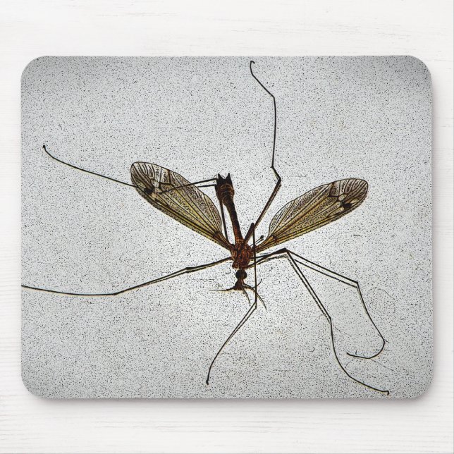 Mousepad Mosaico de Insetos do Crane Fly (Frente)