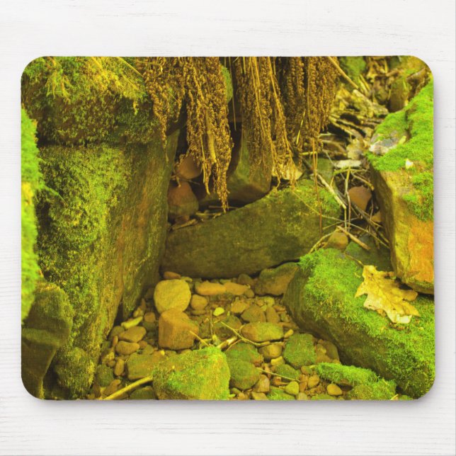 Mousepad Moss and Stone – Hungarian Falls, Upper Peninsula (Frente)