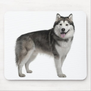 Mousepad Mossepad Malamute