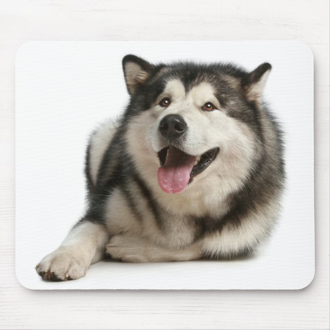 Mousepad Mossepad Malamute (Frente)