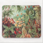 Mousepad Mosses, Muscinae Laubmoose por Ernst Haeckel<br><div class="desc">Muscinae Laubmoose por Ernst Haeckel Vintage Plantas de Rato Pad</div>
