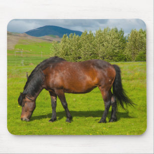 Mousepad Mossfellsbaer Cavalo Islandês