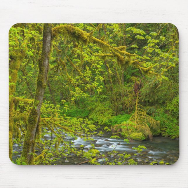 Mousepad Mossy Rochas E Árvores Linha Águia (Frente)