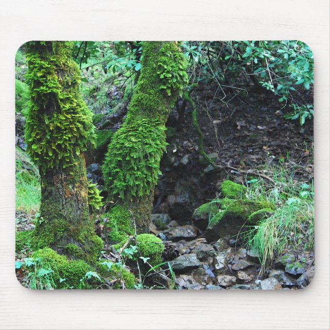 Mousepad Mossy Trees (Frente)