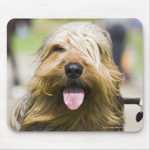 Mousepad mostrando a língua, cabelo longo, retrato