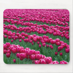 Mousepad Mostrar jardim de bulbos de tulipas de floração pr