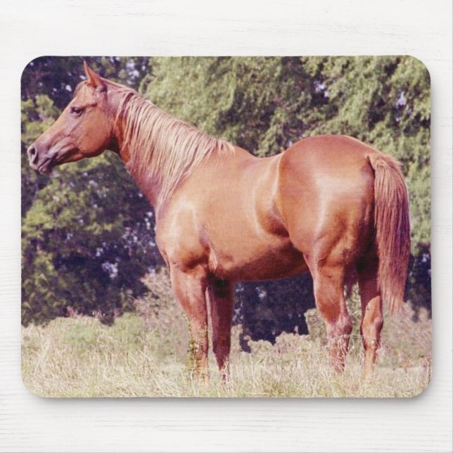 Mousepad Mostre o cavalo (Frente)